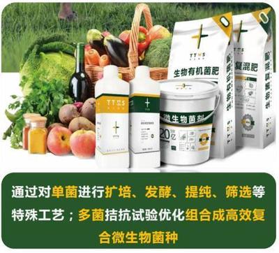 從辣椒加工到菌肥生產，她用五年搶占南方市場！_南方plus_南方+生物有機肥料研發